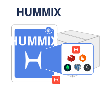 hummix-on-premises-1